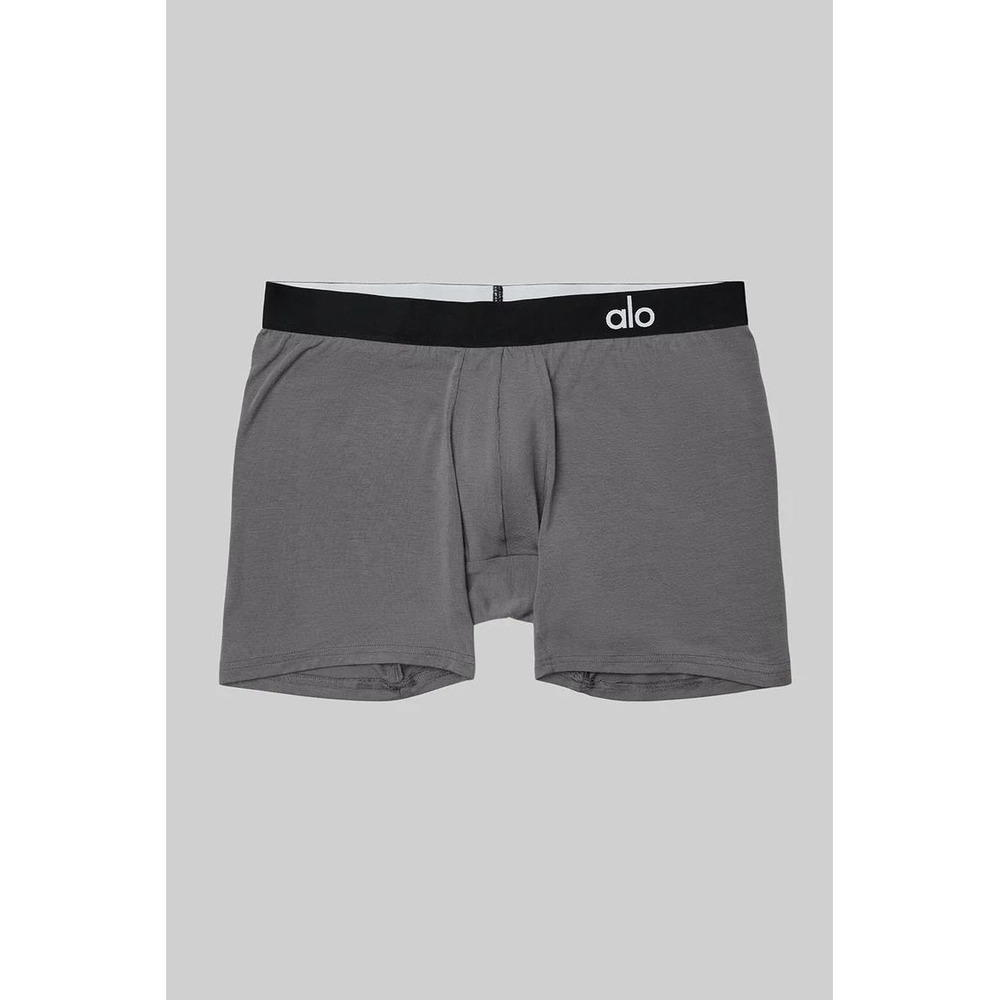 Alo Yoga Day and Night Boxer Brief Grey Medium New With Tags